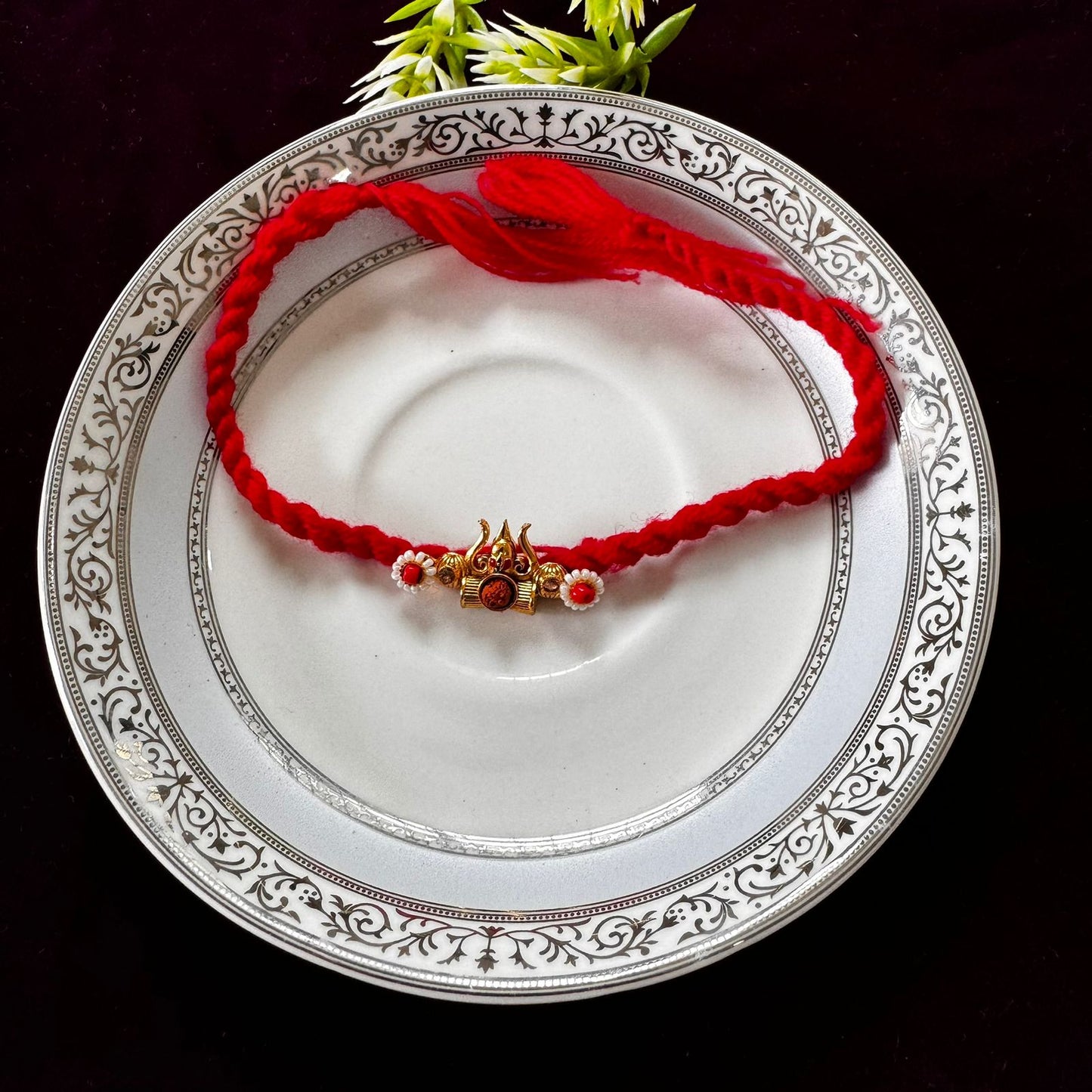 Bhai rakhi 117
