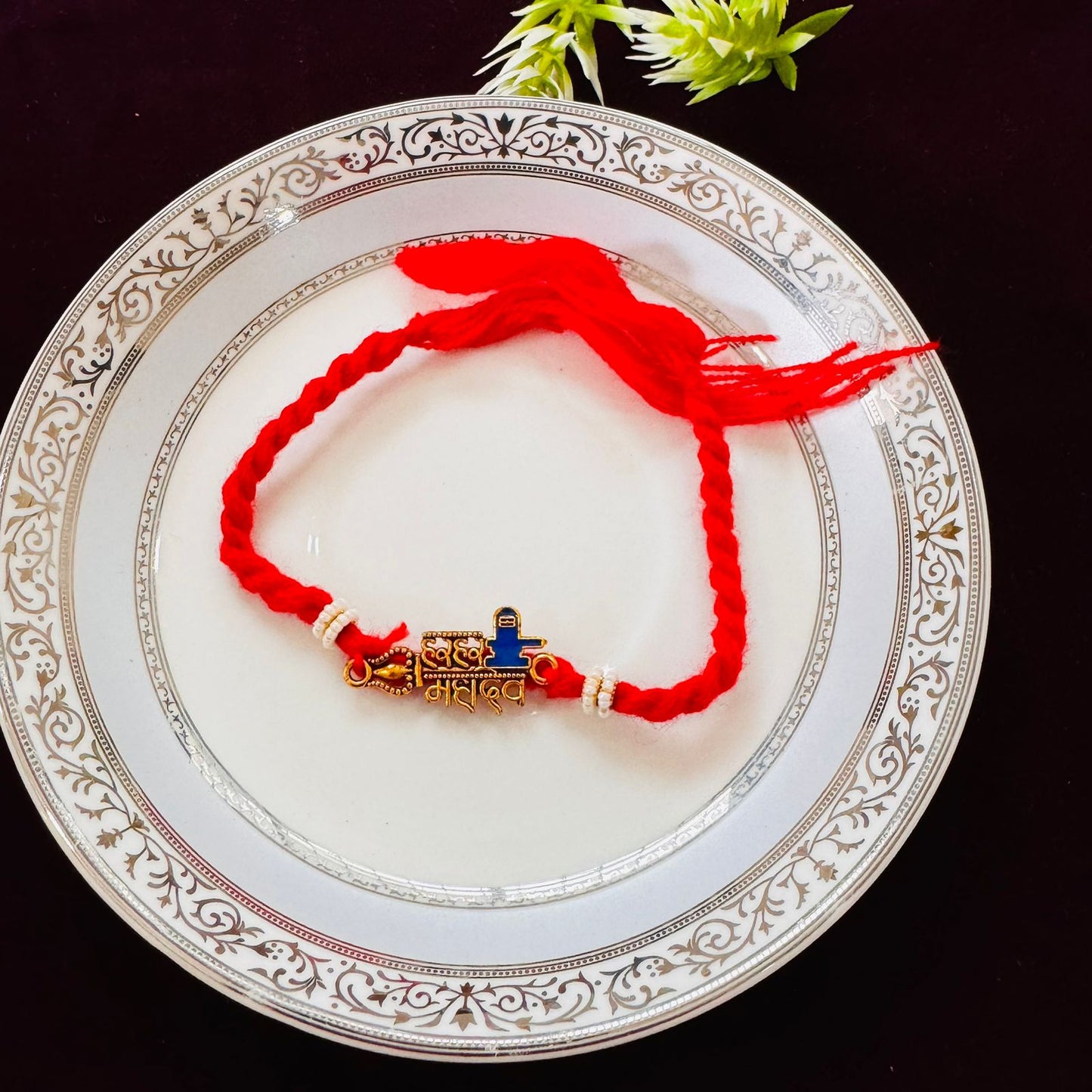 Bhai rakhi 109
