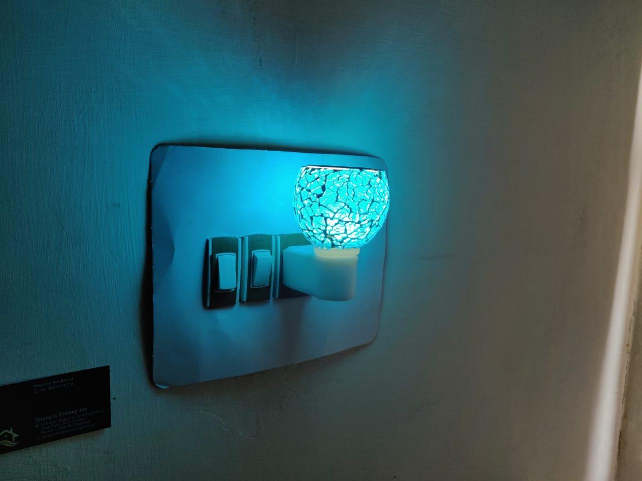 Kapur Dani Electrical Camphor Diffuser