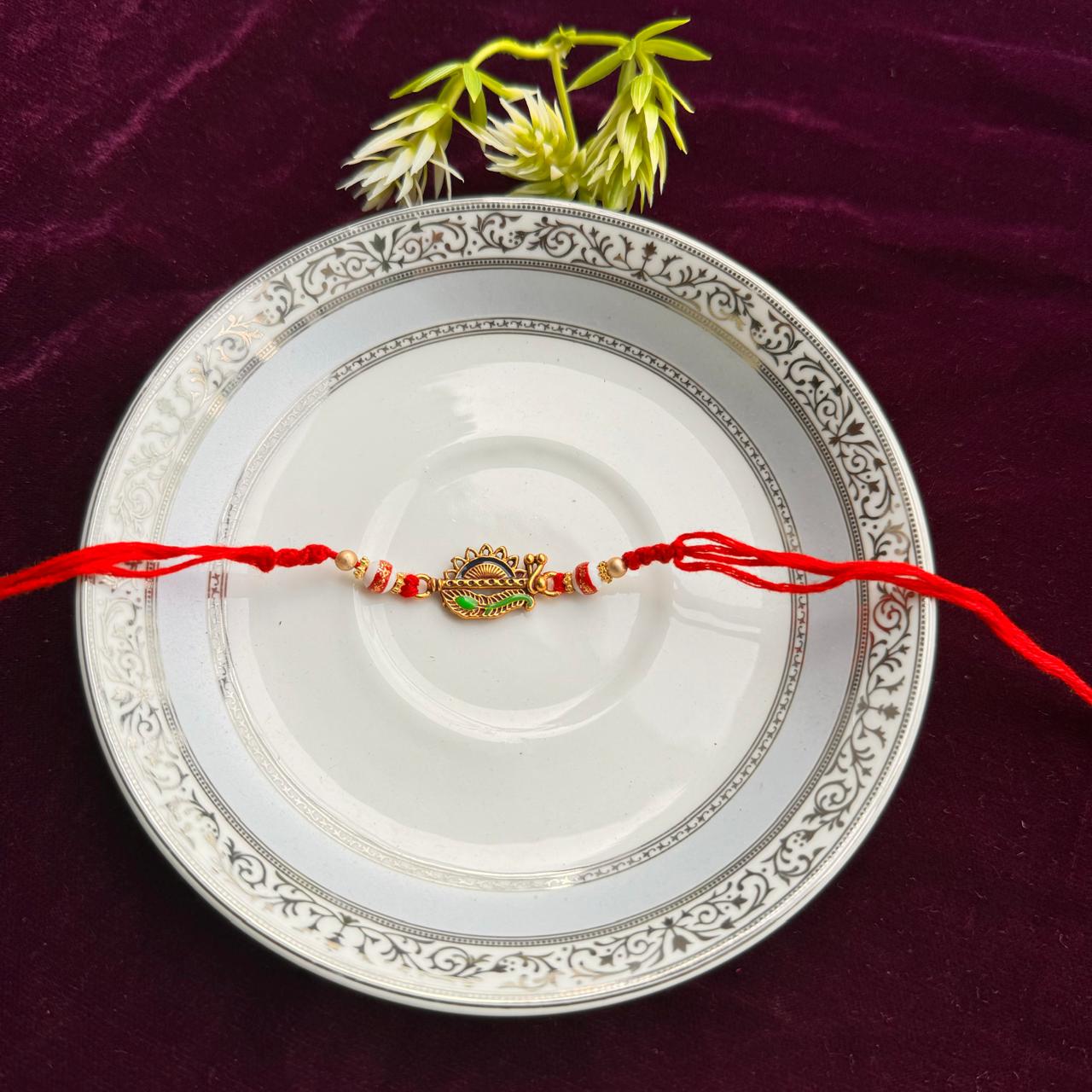 bhai rakhi 1